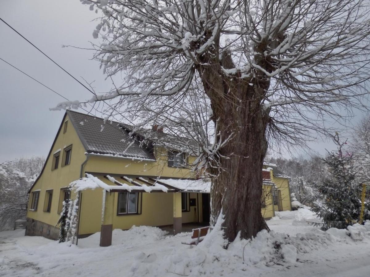 Na Kopci 84 Lägenhet Stare Krecany Exteriör bild